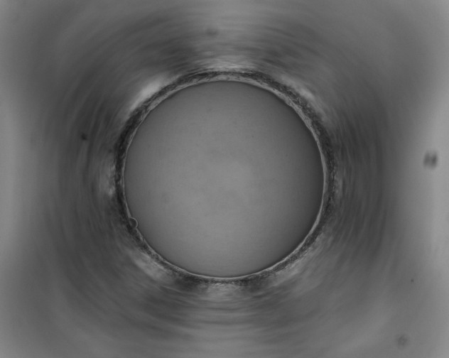 X0000101151306200807110956