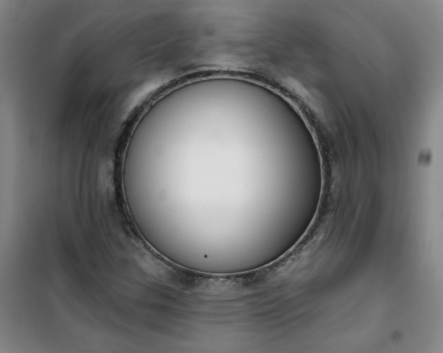 X0000101151307200807110956