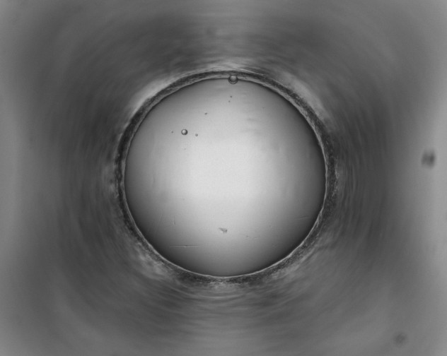 X0000101151308200807110956