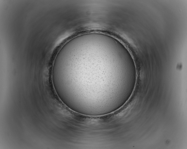 X0000101151309200807110956