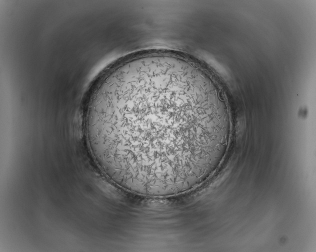 X0000101151310200807110956