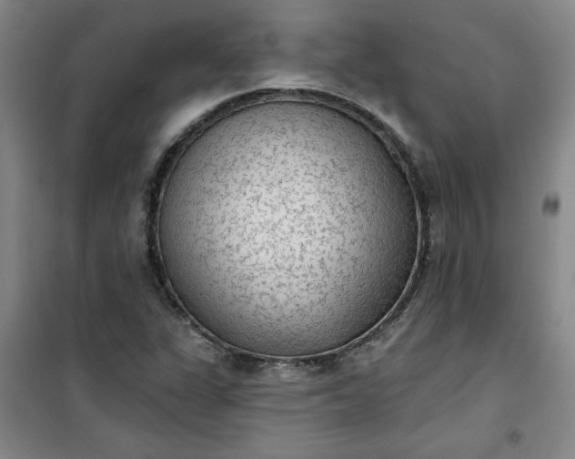 X0000101151311200807110956