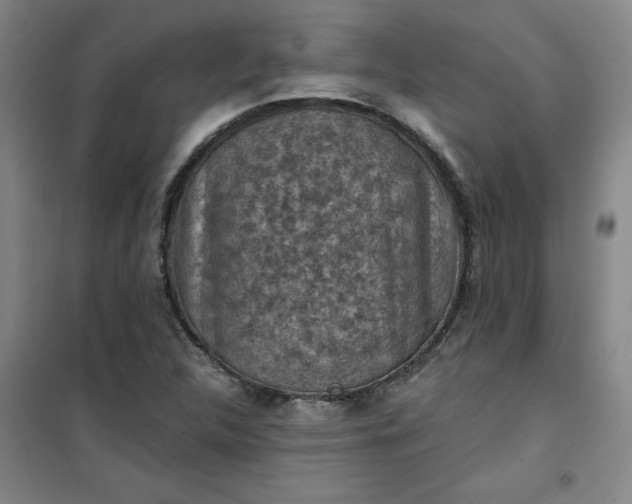 X0000101151312200807110956