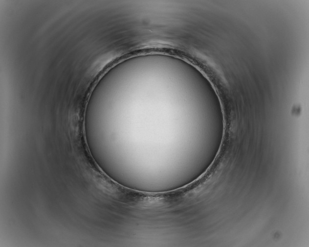 X0000101151313200807110956