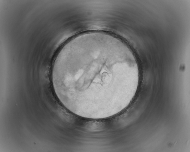 X0000101151314200807110956