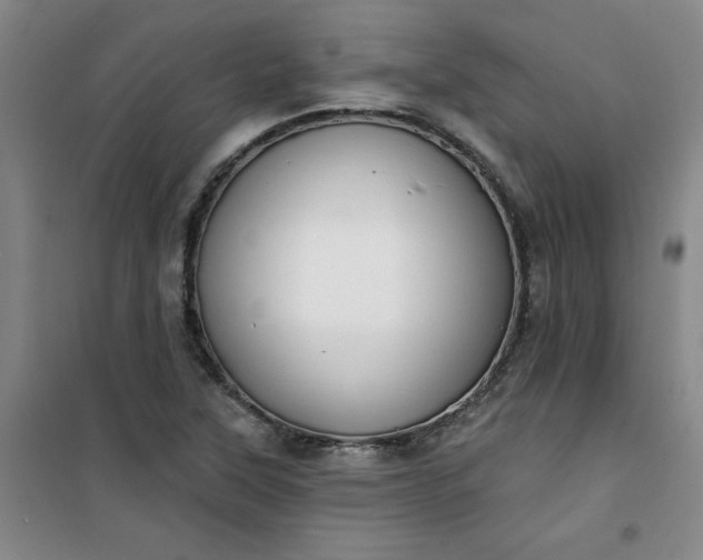 X0000101151315200807110956