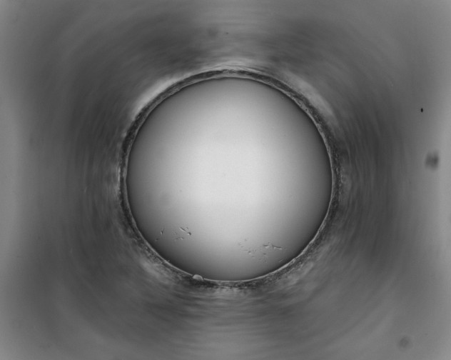 X0000101151316200807110956