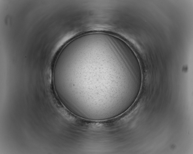 X0000101151317200807110956