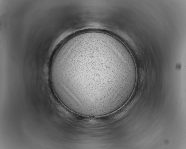 X0000101151318200807110956