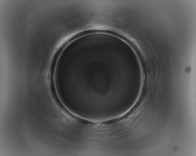 X0000101151319200807110956