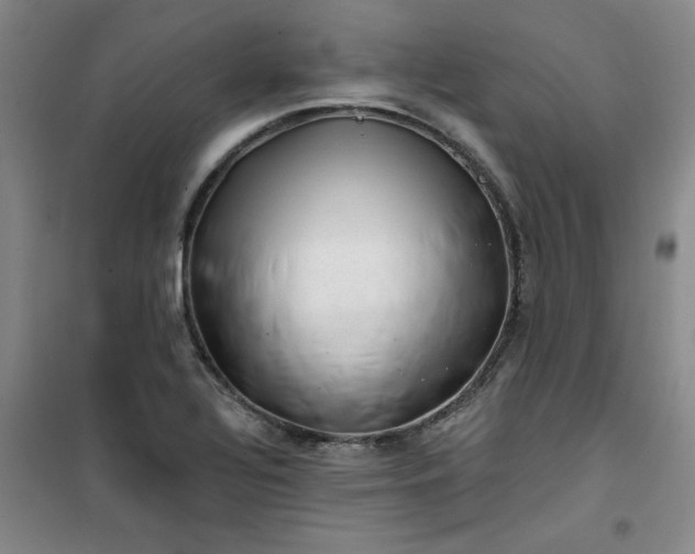 X0000101151320200807110956