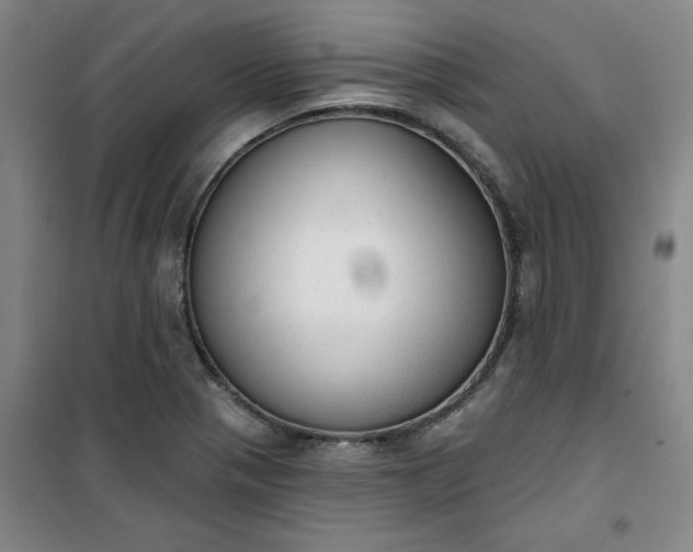 X0000101151321200807110956