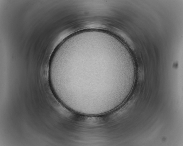 X0000101151322200807110956