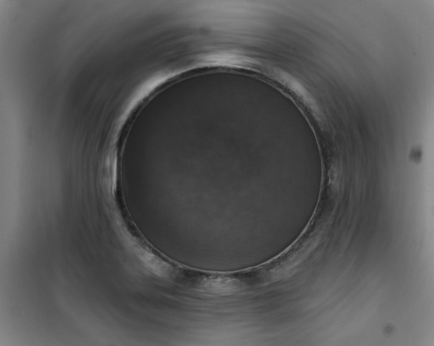 X0000101151323200807110956