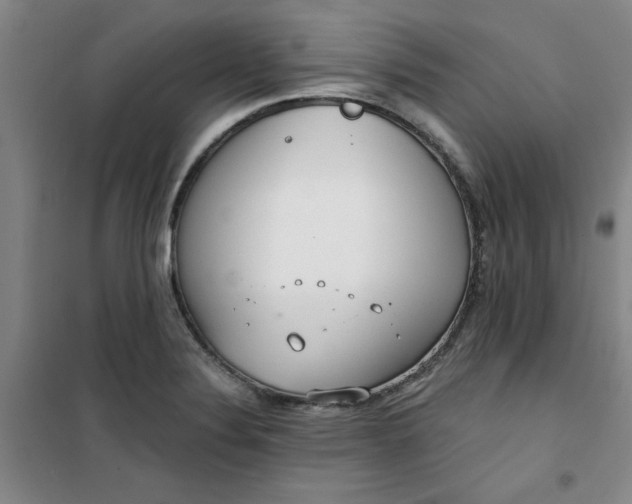 X0000101151324200807110956