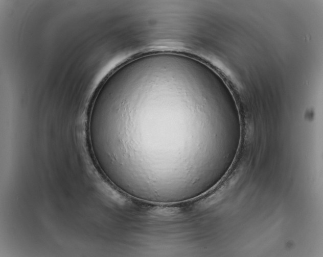 X0000101151325200807110956