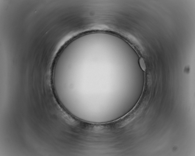 X0000101151326200807110957