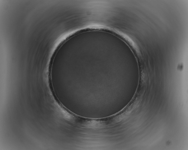 X0000101151327200807110957