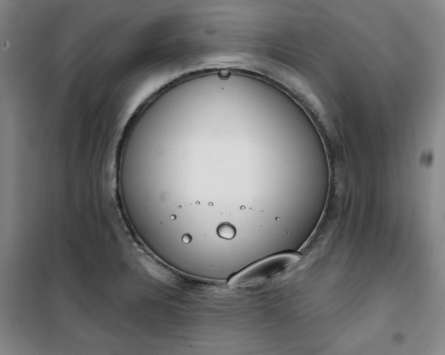 X0000101151328200807110957