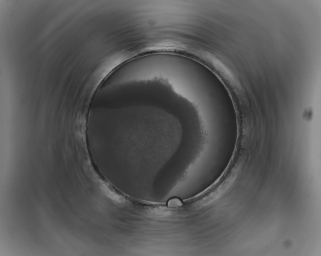 X0000101151329200807110957