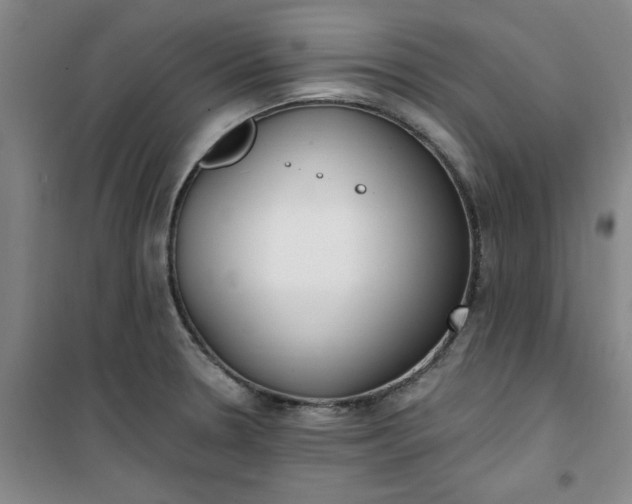 X0000101151330200807110957