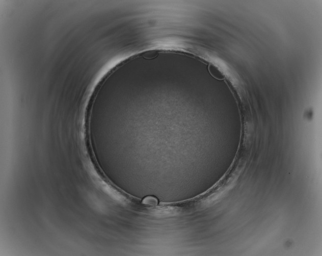 X0000101151331200807110957