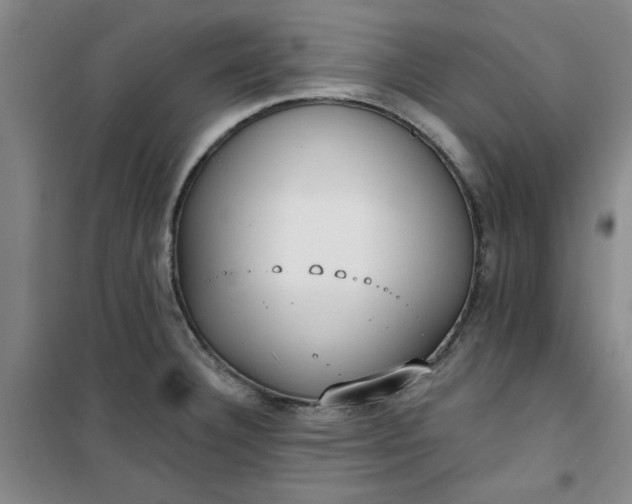 X0000101151332200807110957