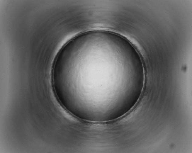 X0000101151333200807110957