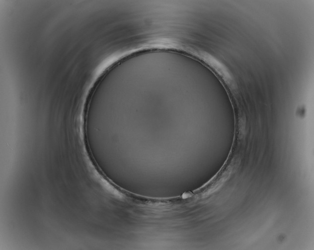 X0000101151334200807110957