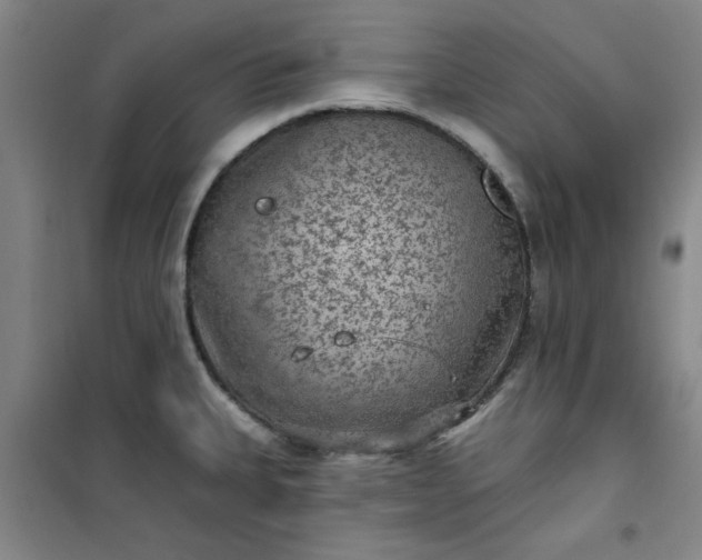 X0000101151335200807110957