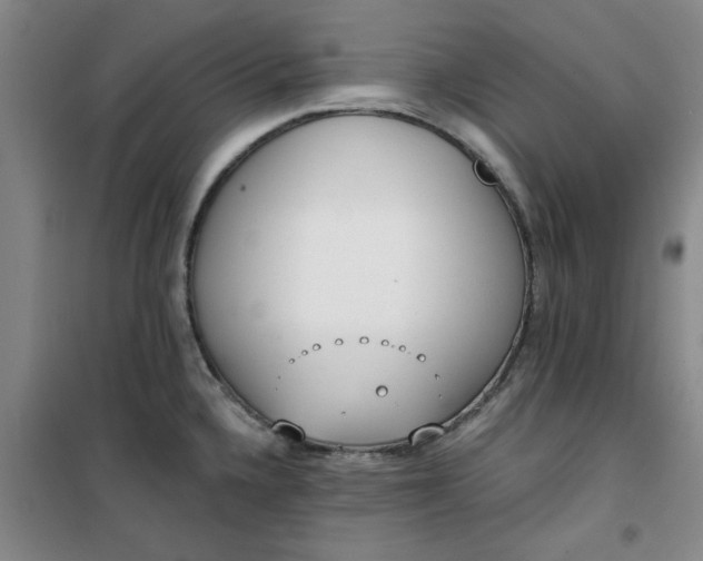 X0000101151336200807110957