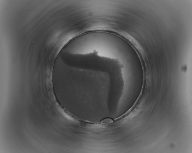 X0000101151337200807110957