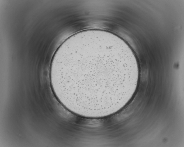 X0000101151338200807110957