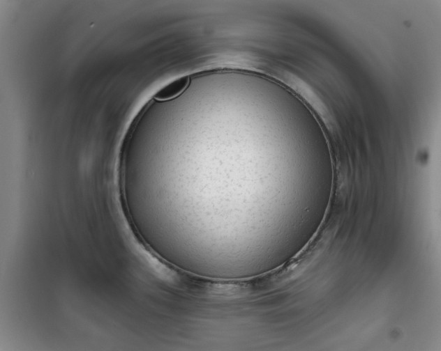 X0000101151339200807110957