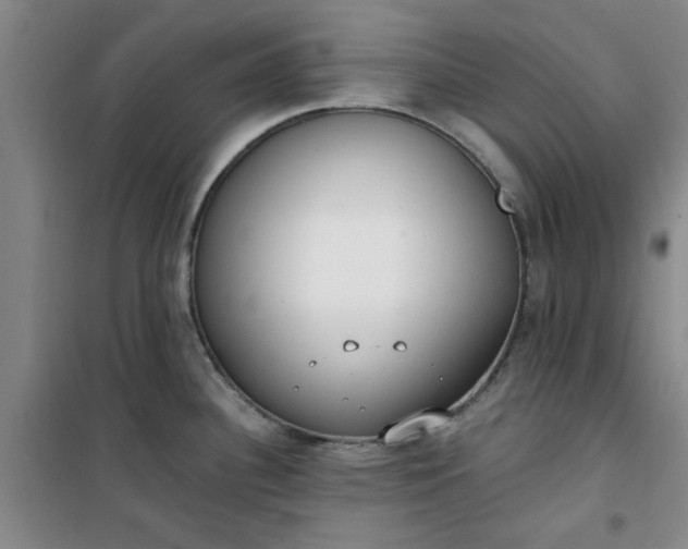 X0000101151340200807110957