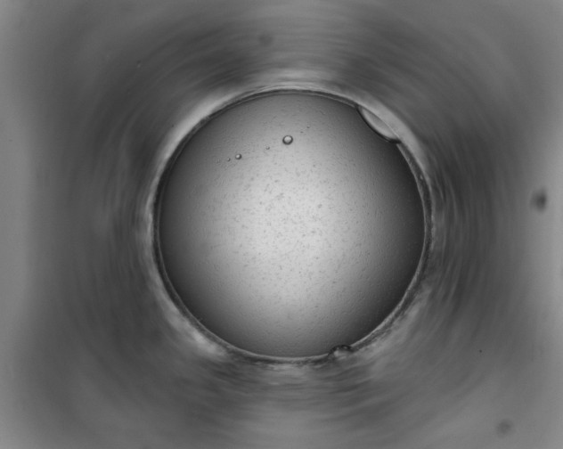 X0000101151341200807110957