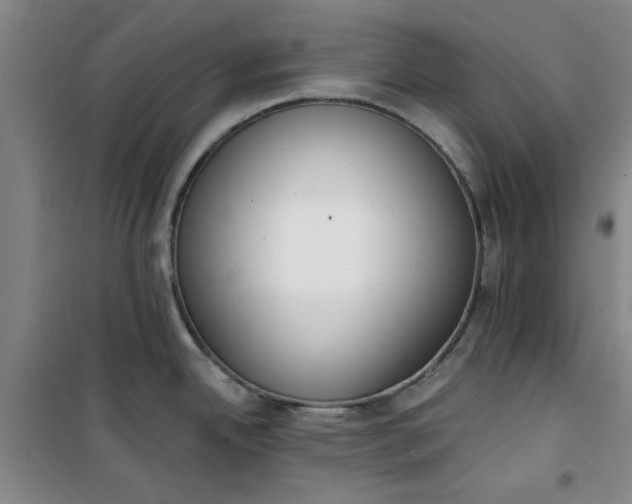 X0000101151342200807110957