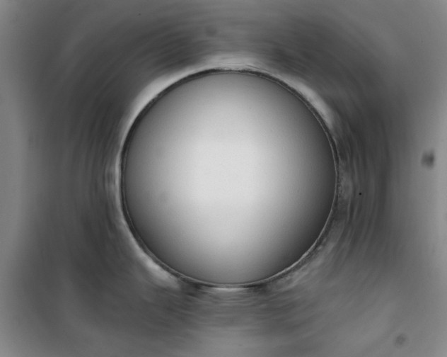 X0000101151343200807110957