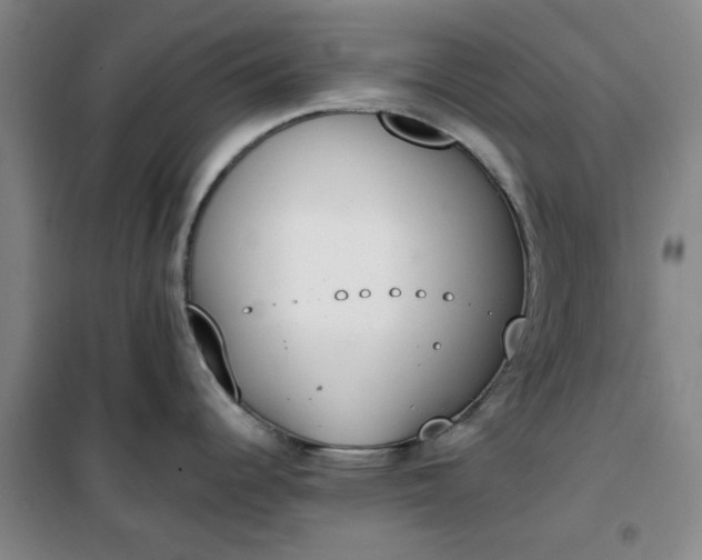 X0000101151344200807110957