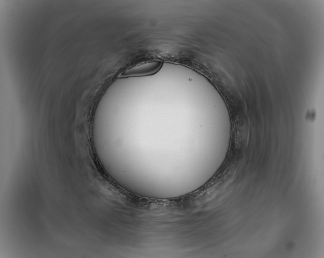 X0000101151345200807110956