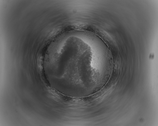 X0000101151346200807110956