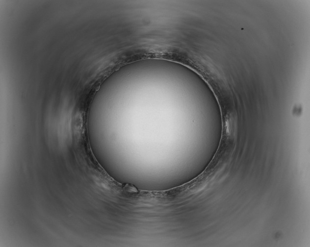 X0000101151347200807110956