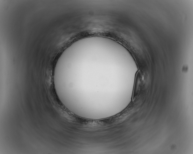 X0000101151348200807110956