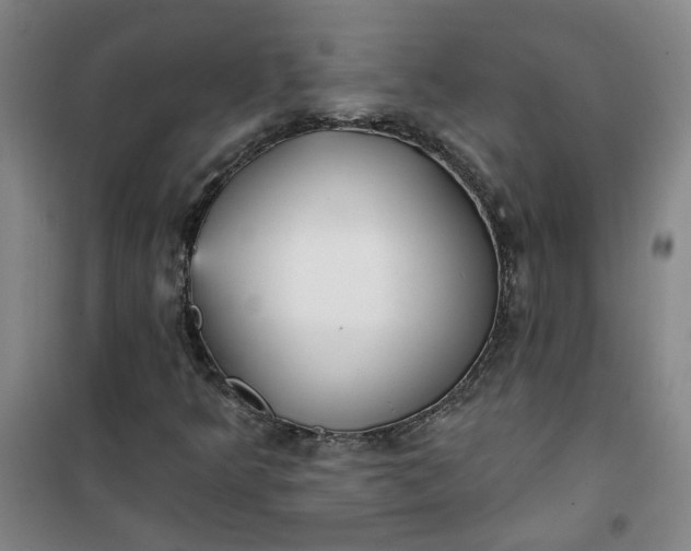 X0000101151349200807110956