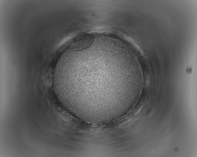 X0000101151350200807110956