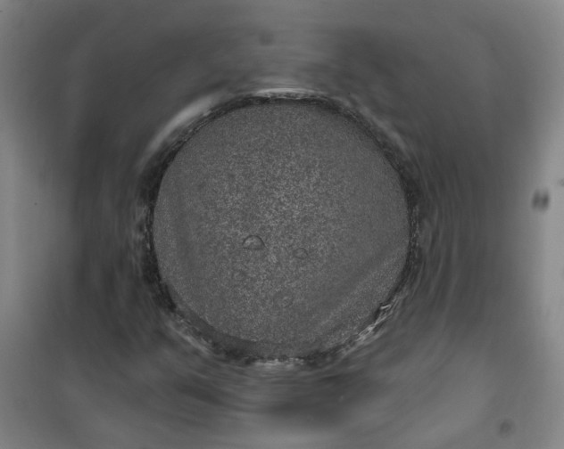 X0000101151351200807110956