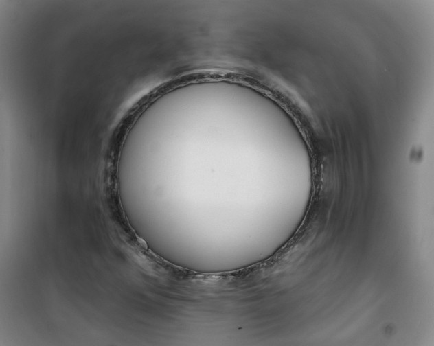 X0000101151352200807110956