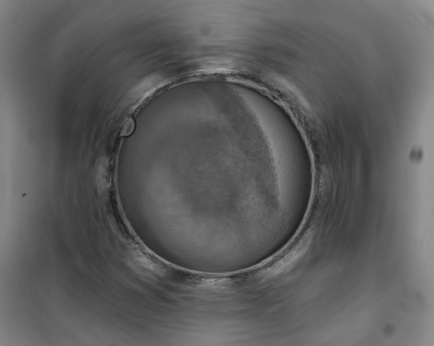 X0000101151353200807110956