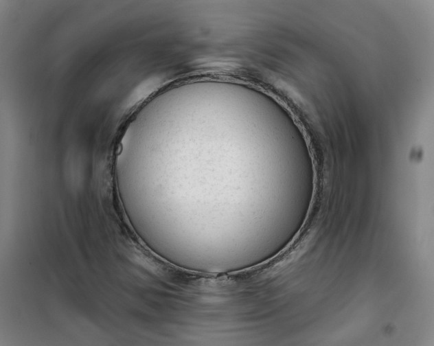 X0000101151354200807110956