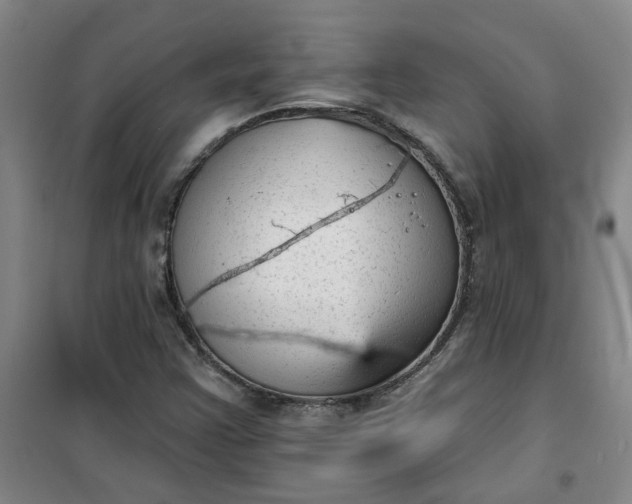 X0000101151355200807110956